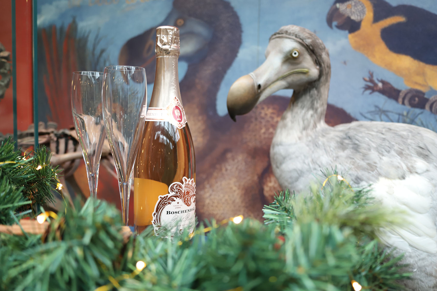Christmas dodo christmas dodo