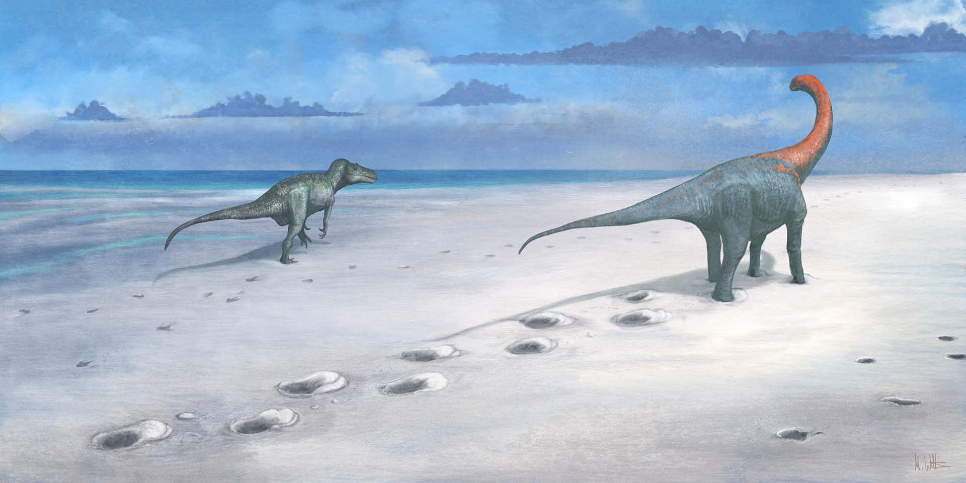 An artist's painted reconstruction of a Megalosaurus and a Cetiosaurus walking in a prehistoric landscape An artist's painted reconstruction of a Megalosaurus and a Cetiosaurus walking in a prehistoric landscape