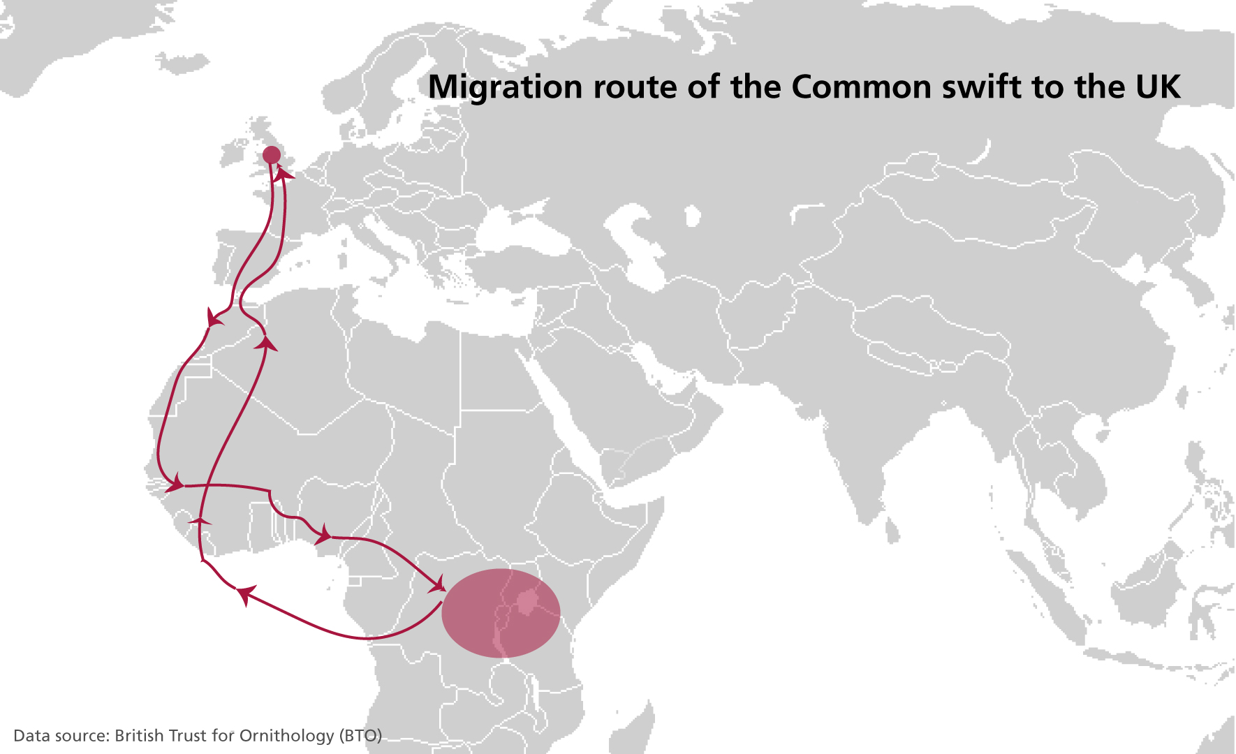 migration swift