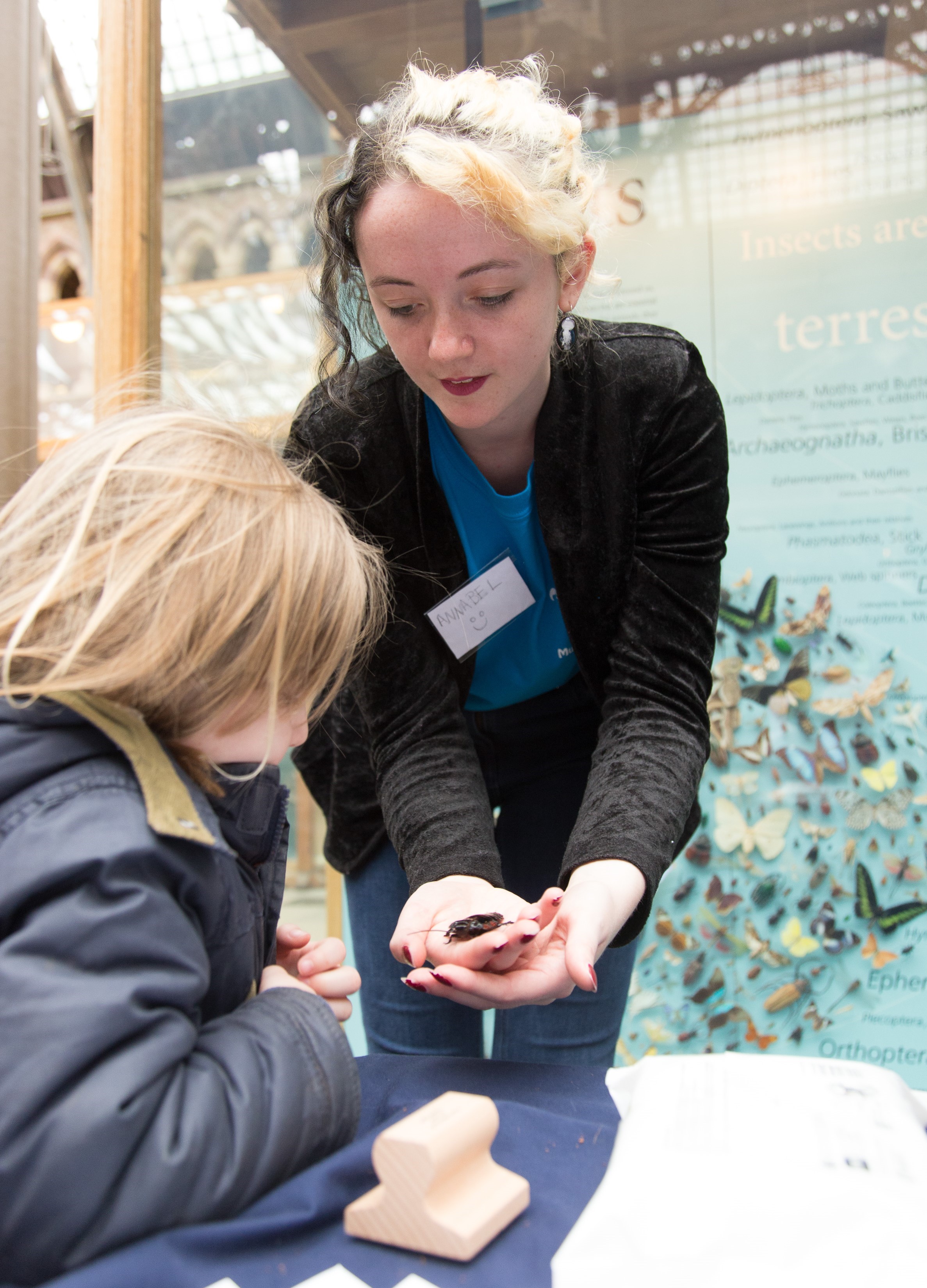 Museum staff with children looking at specimens on a table in the Museum