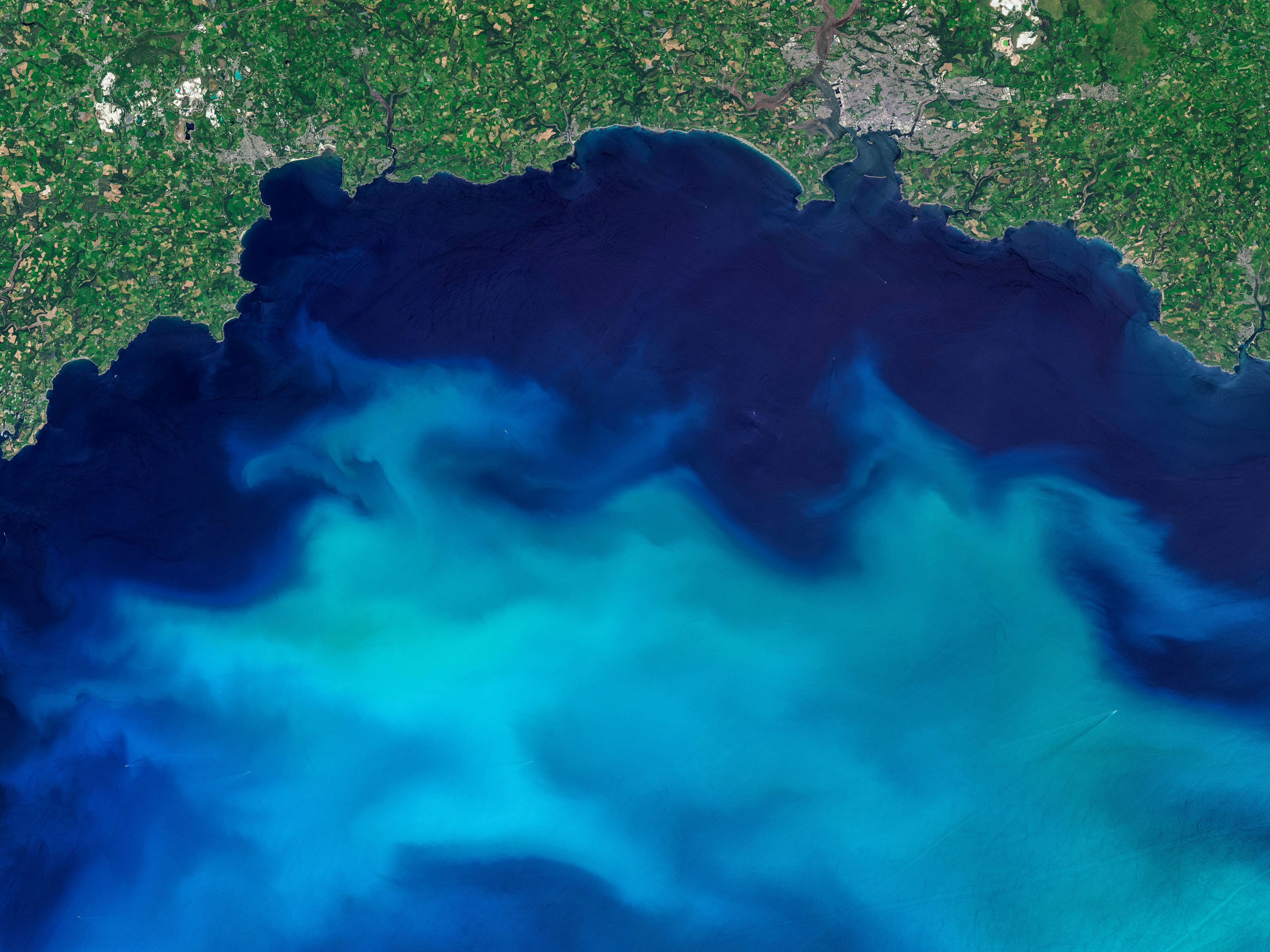A phytoplankton bloom off the South Coast of Britain