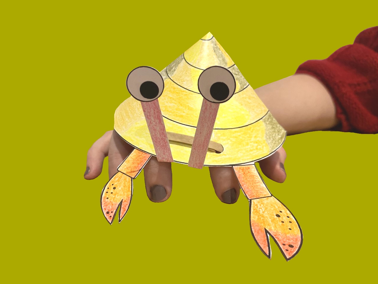 Hermit Crab Hand Puppet | Oxford University Museum of Natural History