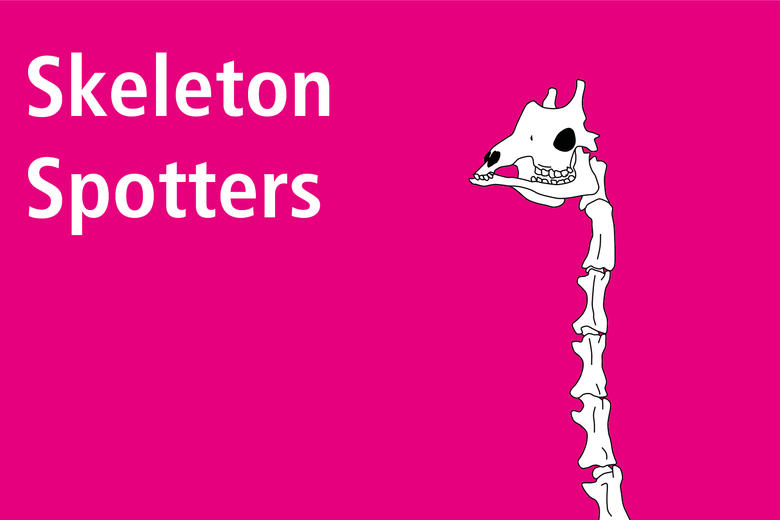 website banner skeleton spotters