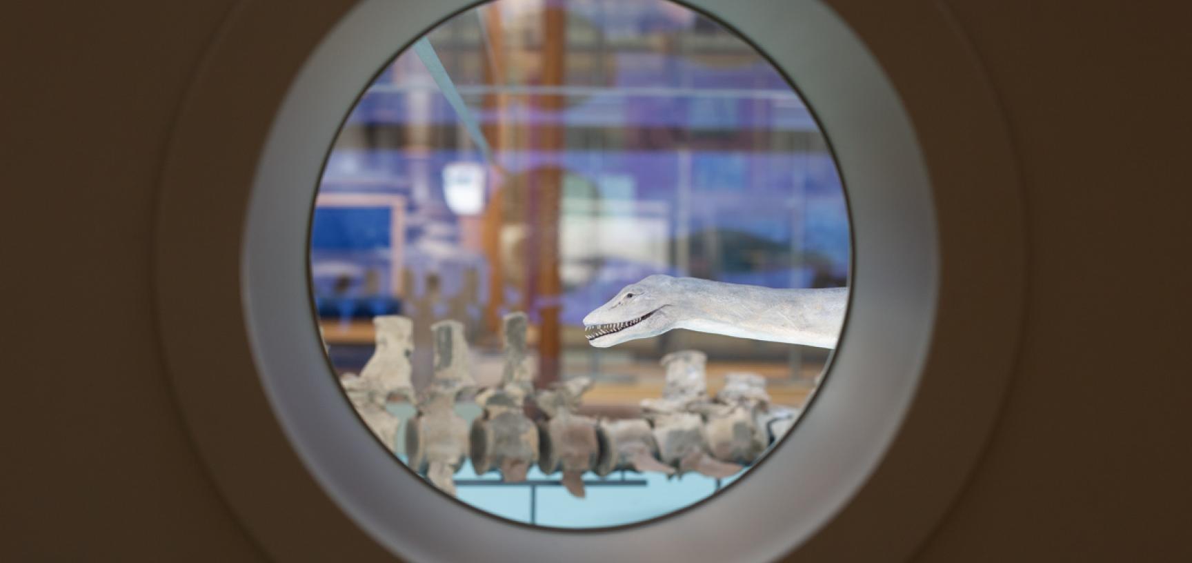 Portholes in the Out of the Deep display allow visitors to peer into the scale models and fossil skeletons