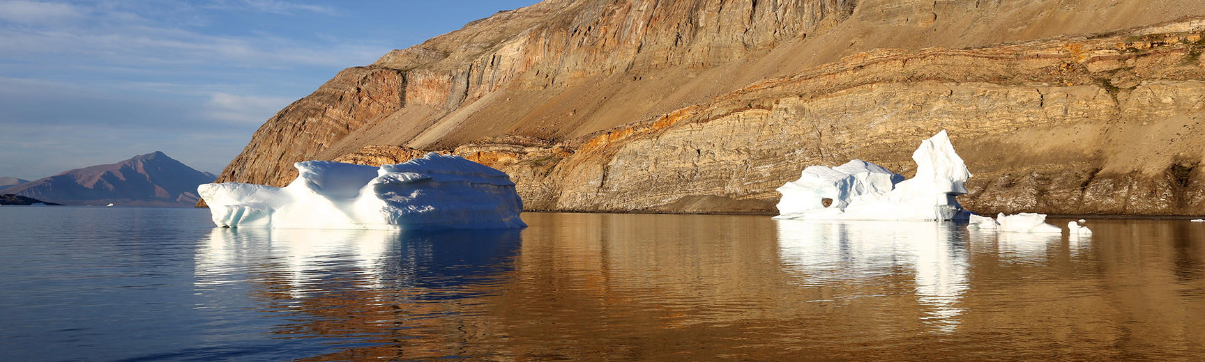 Lower Cambrian of Ella Ø, North-East Greenland
