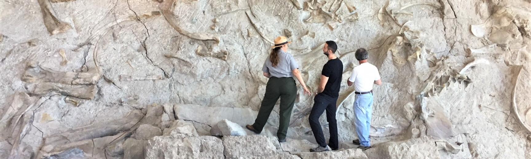 Some palaeontologists, including Dean Lomax, looking at a dinosaur fossil in exposed rock