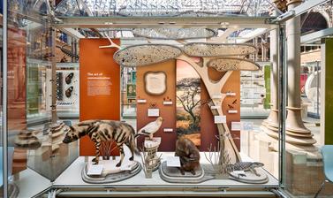 Art of Communication display