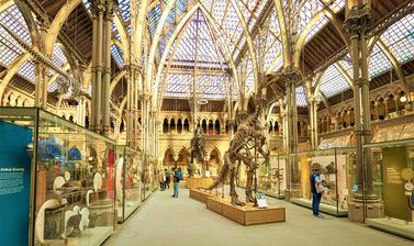 The Main Court of the Museum as seen from the main entrance including an Iguanodon skeleton and rows of cases