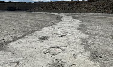 Photograph of flat, grey quarry floor showing a series of dinosaur footprint indentations