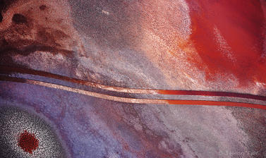 Excavator tracks in bauxite waste at aluminium refinery by J Henry Fair