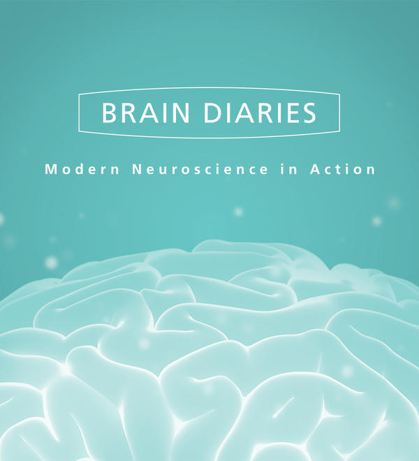 Brain Diaries exhibition