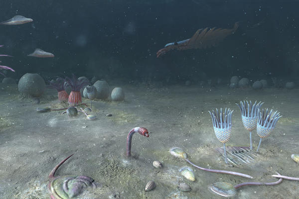 Cambrian sea floor, Yunnan Province, China - 518 million years ago.