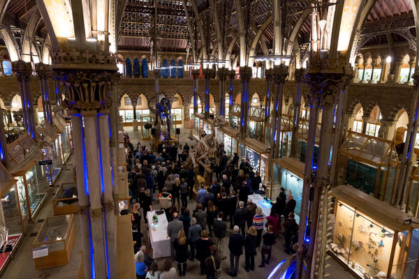 events  main court reception view from upper gallery landscape claire williams