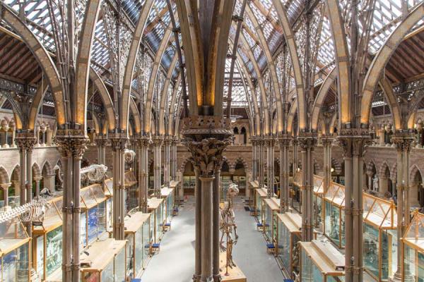 Oxford University Museum of Natural History interior court architecture