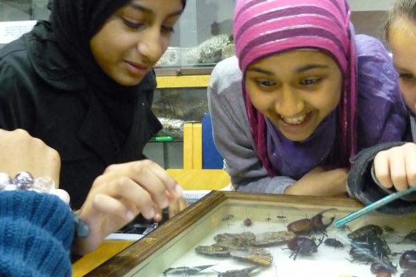 Young adults learning about butterflies