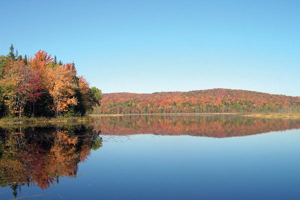picture of lake and trees