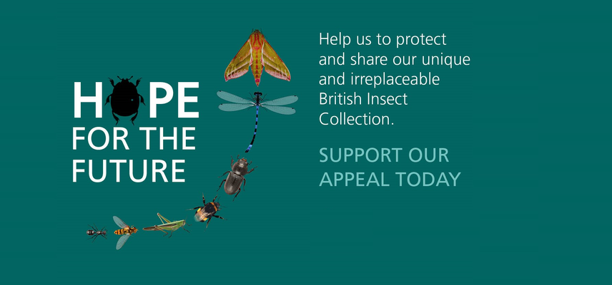 Support our HOPE Appeal Today