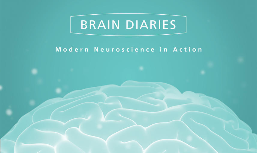 Brain Diaries exhibition
