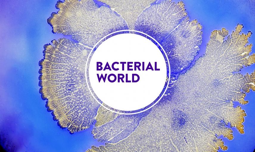 Bacterial World - Special Exhibition
