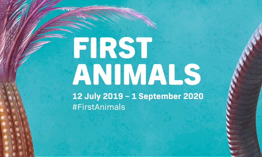 First Animals exhibition banner
