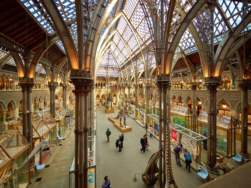 A photo of the Main Court of the Museum taken from the Upper Gallery