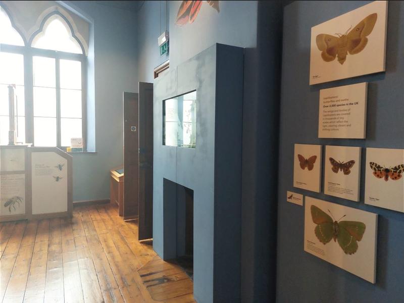 The Ellen Hope Gallery, as seen from the lift. It is a room with blue walls and displays about insects.