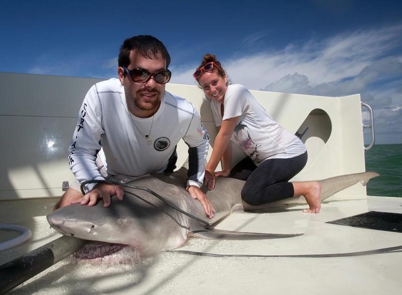 Dr Schiffman and a colleague on board a white boat, pinning down a shark they have captured for research purposes.