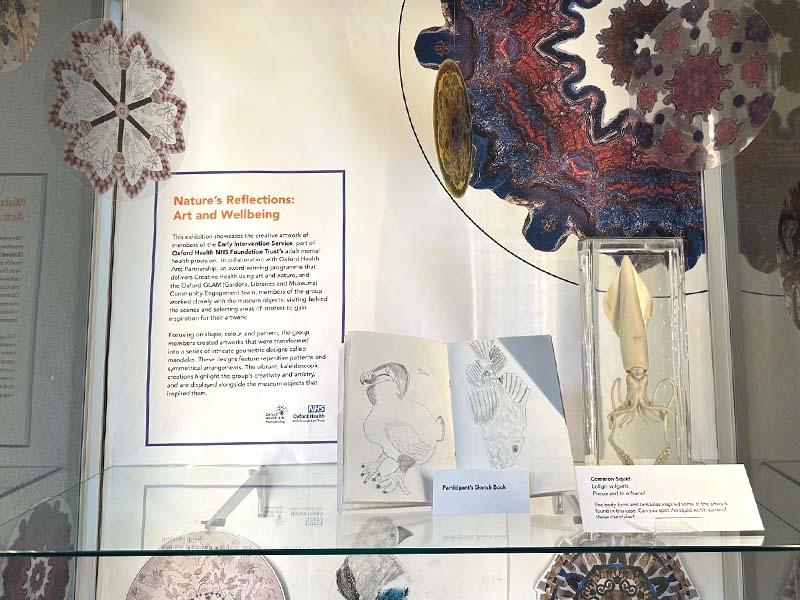 A shelf in the Museum's community case showing examples of participants' work