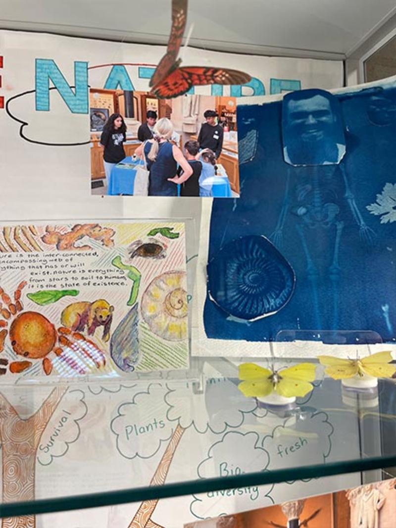 'We Are Nature' - a new display in the Museum's Community Case