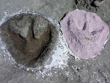 Megalosaurus print in the quarry floor alongside its cast Megalosaurus print in the quarry floor alongside its cast
