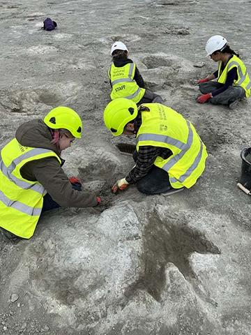 Excavators in hi-viz jackets working on the footrprints of a Megalosaurus. Excavators in hi-viz jackets working on the footrprints of a Megalosaurus.