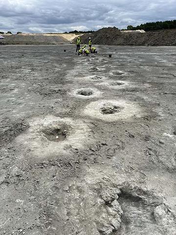 Dewars farm dinosaur excavation Trail of dinosaur footprints leading into the distance