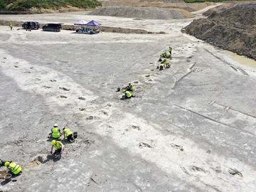 Excavators working on the 'dinosaur highway' in Oxfordshire Several people in hi-viz jackets excavating two lines of dinosaur footprints