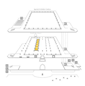 The evolution displays are in the main court, on the right of the first row of cases and left of the second row of cases as you enter through the main entrance
