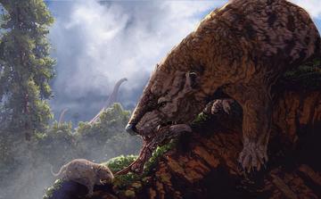 Gobiconodon Illustration of one large and one smaller mammal each pulling at the same piece of meat