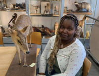 A STEM placement student at the Museum